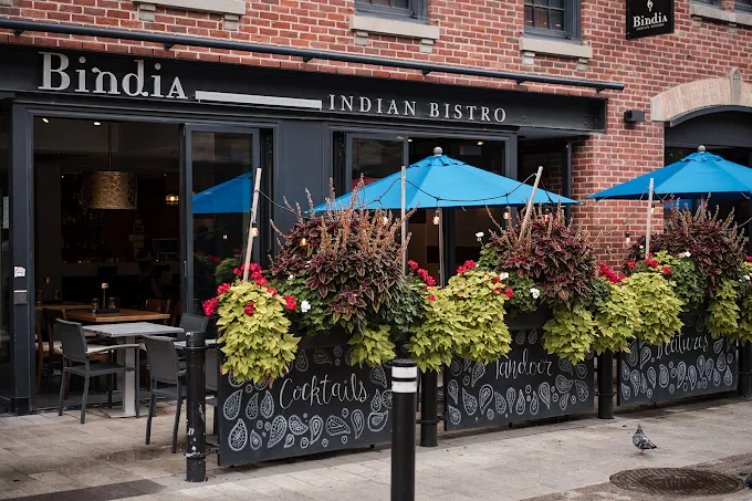 Bindia Indian Bistro