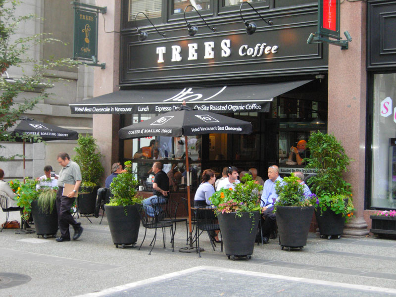 Top 10 Cafes in Vancouver That Coffee Lovers Must Visit